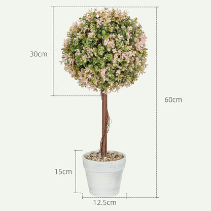 2PCS Murraya Flower Plants