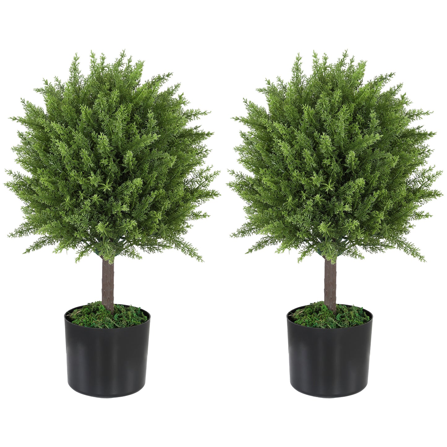 Cedar Topiary Trees in Pots