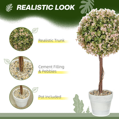 2PCS Murraya Flower Plants