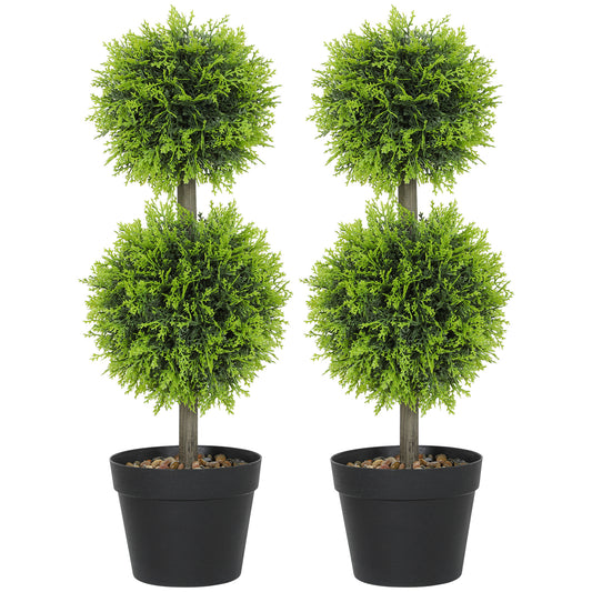 Topiary Ball Shaped Boxwood Trees