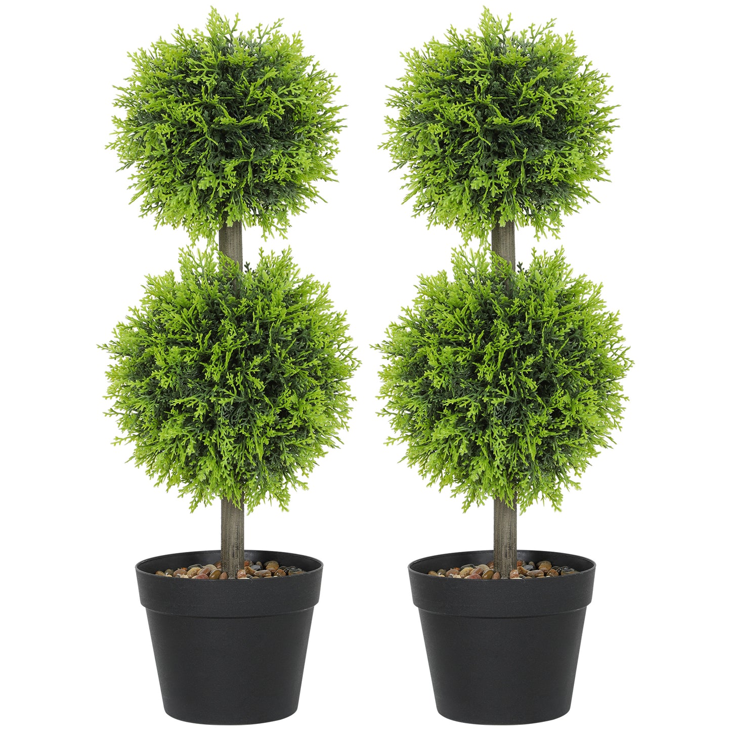 Topiary Ball Shaped Boxwood Trees