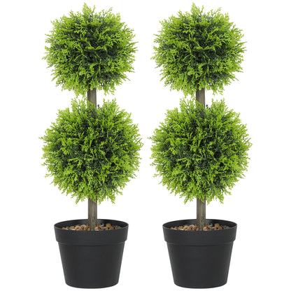 Topiary Ball Shaped Boxwood Trees