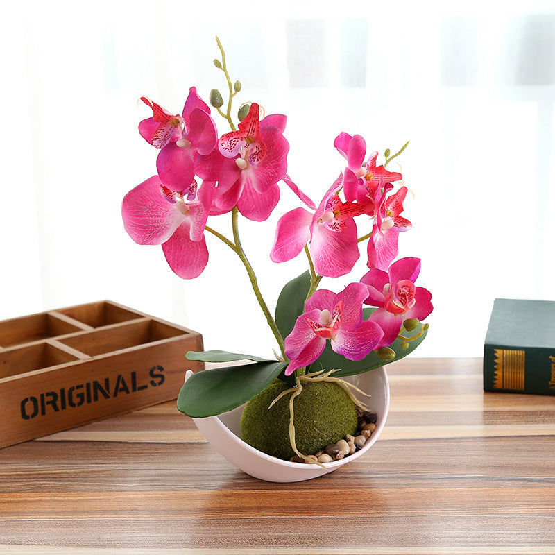 Creative Decoration Plants