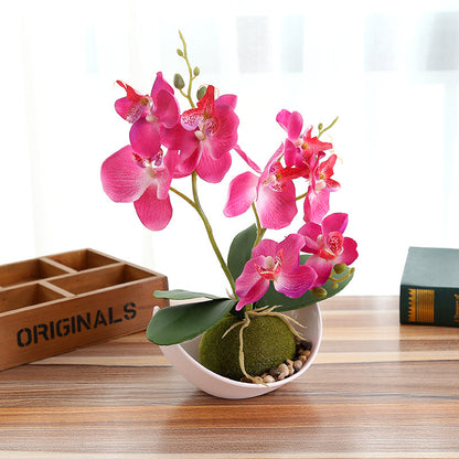 Creative Decoration Plants