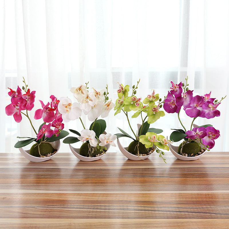 Creative Decoration Plants