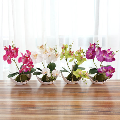 Creative Decoration Plants