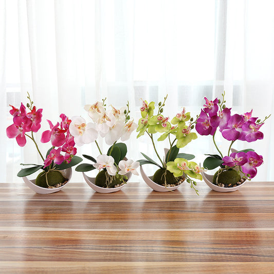 Creative Decoration Plants