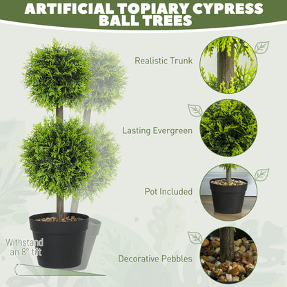 Topiary Ball Shaped Boxwood Trees