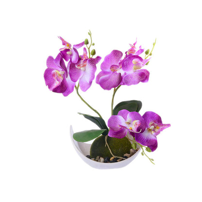 Creative Decoration Plants