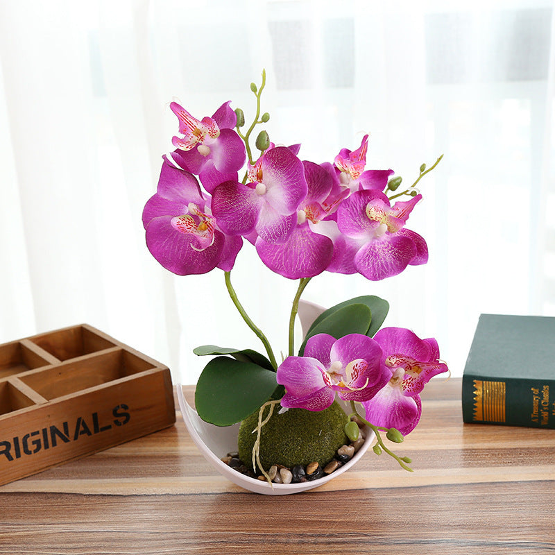 Creative Decoration Plants