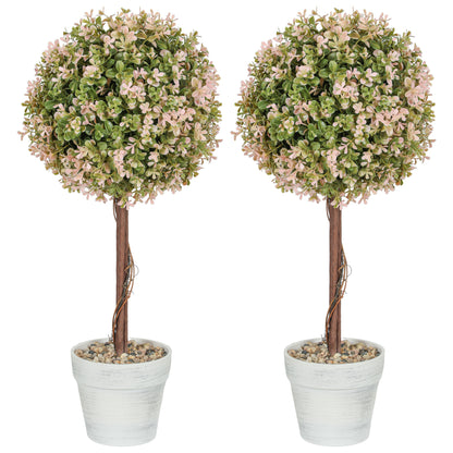2PCS Murraya Flower Plants