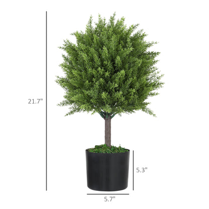 Cedar Topiary Trees in Pots