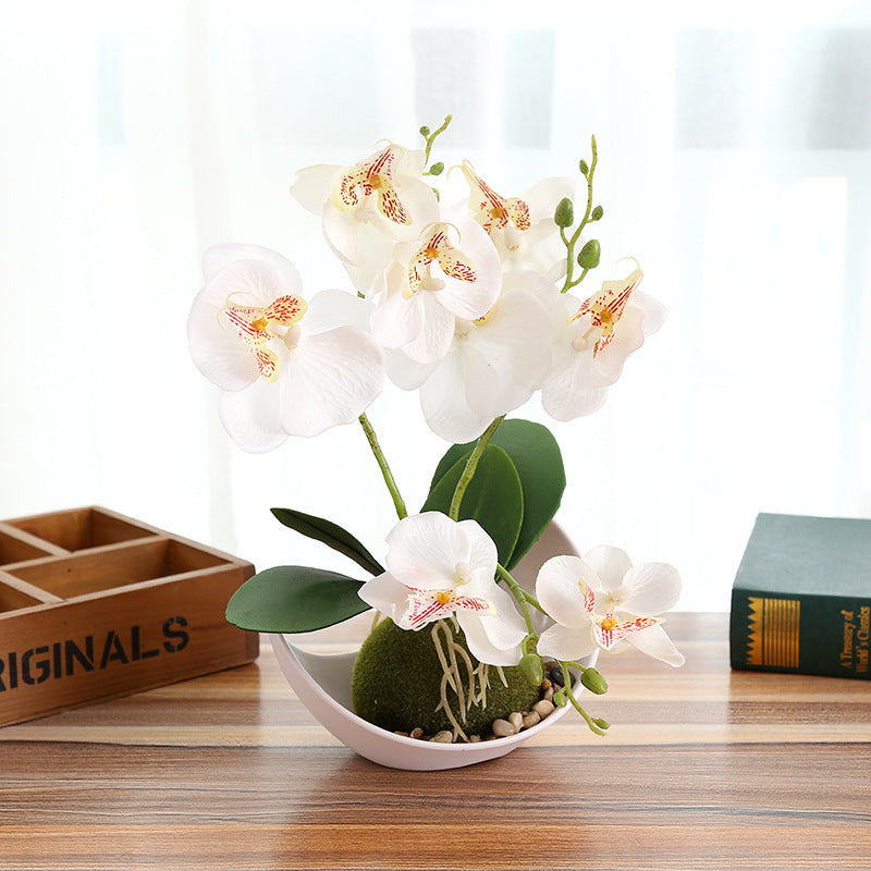 Creative Decoration Plants